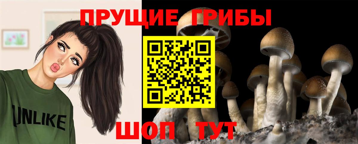 Усть-Джегута  Псилоцибиновые грибы Cubensis  Псилоцибиновые грибы мухоморы  Вход с VPN 