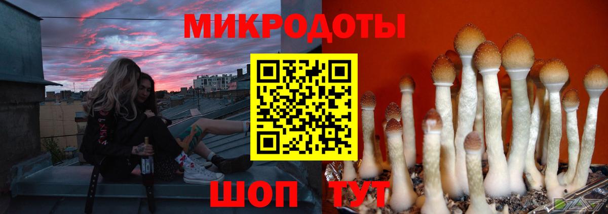 Галлюциногенные грибы мицелий Усть-Джегута
